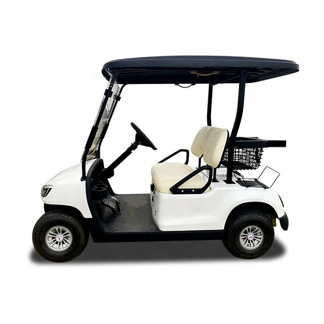 2021 newest hot sale cheap 2 seats gas powered golf buggy carts price
