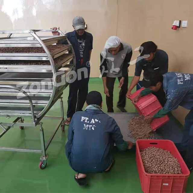 automatic steam wild pepper sterilization machine