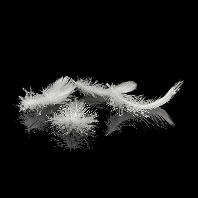 
Good quality soft white washed goose feather for pillow cushion 