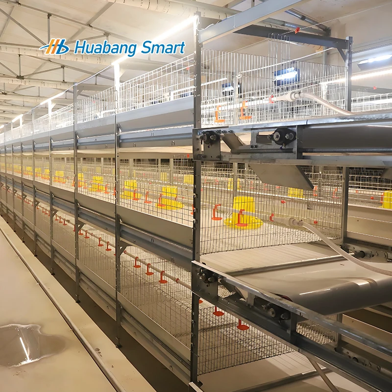 Best Selling Products in Africa-Other+Animal+Husbandry+Equipment Poultry Cage