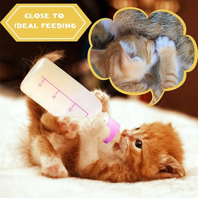Tiktok Hot Selling 60ml/150ml High Temperature Resistance Pet Feeding Bottle Kit Cat Nipple