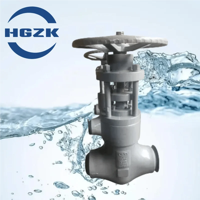 GB ANSI DN20 Stainless steel high temperature steam power plant flange gate valve Stainless steel power plant flange gate valve