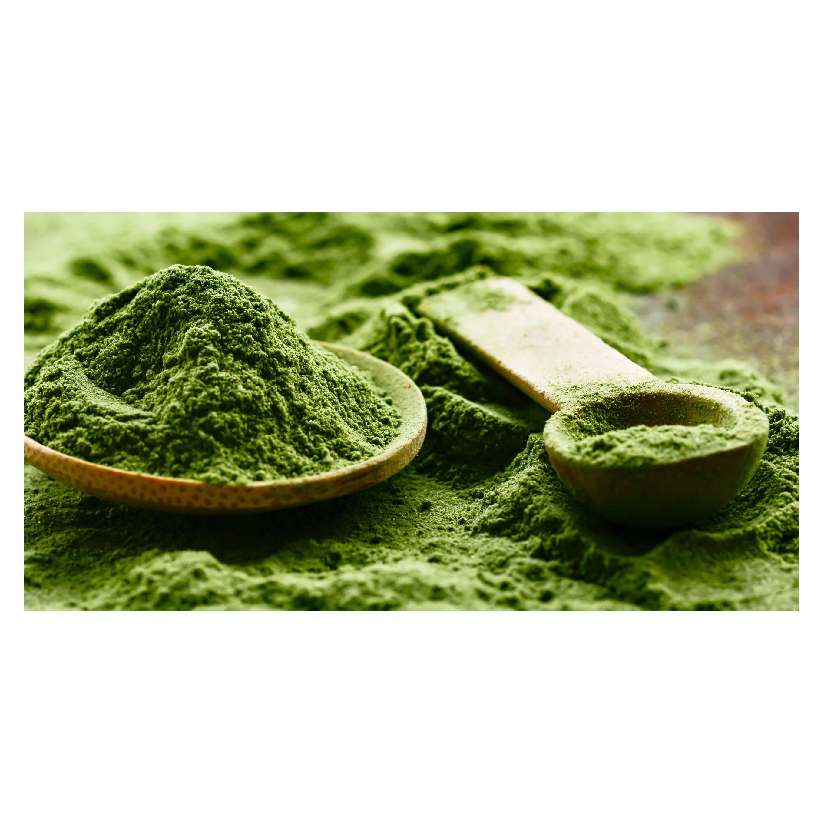 Free sample matcha tea low calories USDA matcha green tea powder antioxidant nutrition facts and health benefits Organic Matcha