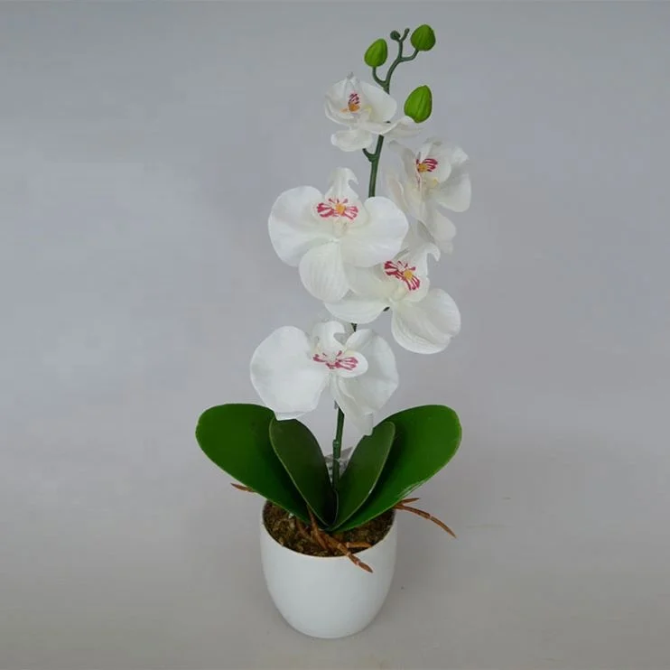 Wholesale garden decoration artificial plastic phalaenopsis orchid plants flowers Bonsai