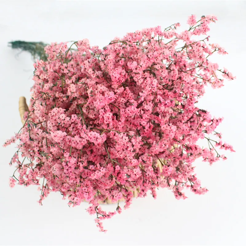 Pure colors preserved flower preserved caspea for house decor