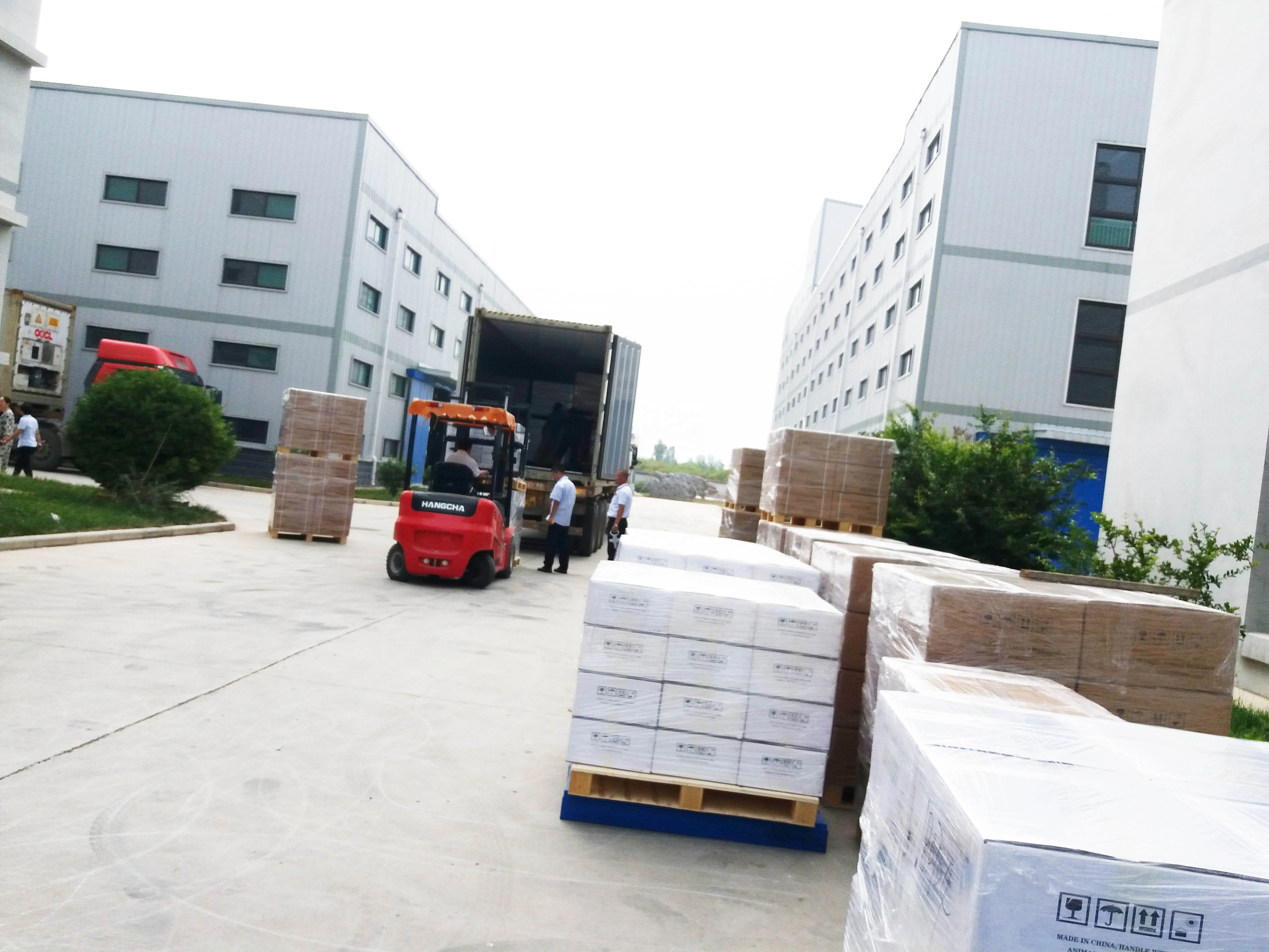 
Soocom Pigeon Antibiotic Florfenicol Veterinary Respiratory Injection 30% 