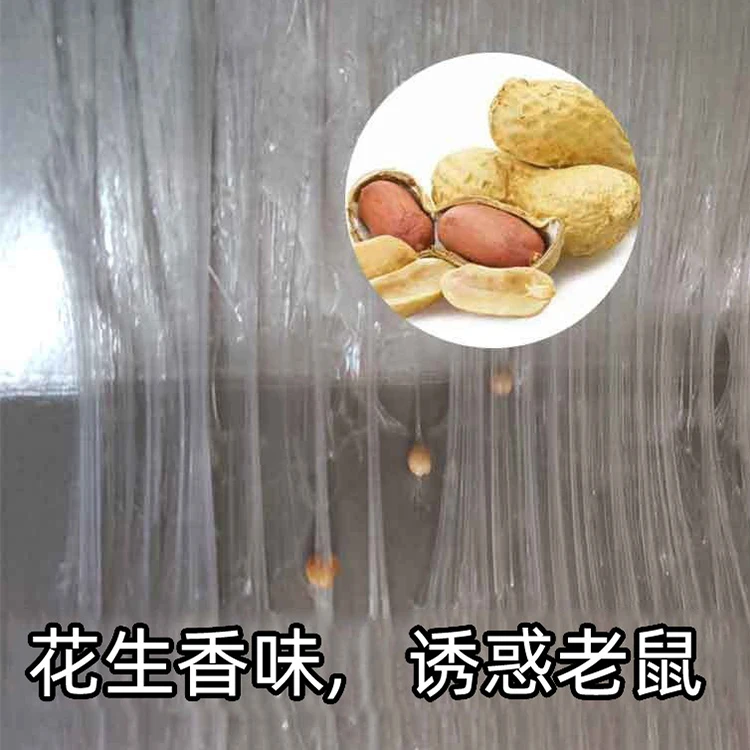 Professional Wholesale Manufacturer Trade Rat Killer For Home Mouse Mice Trap For Restaurants