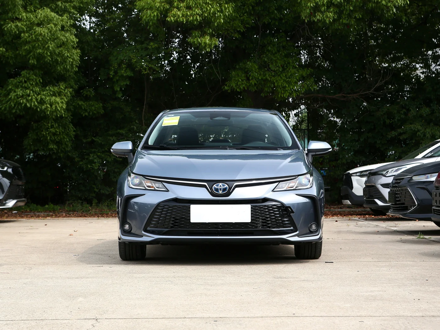 Заводская цена лидер продаж 1 8 т бензиновый гибридный автомобиль элитное издание Corolla подержанные автомобили для продажи