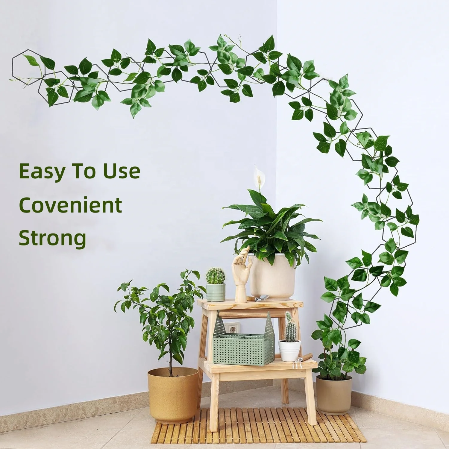 Vine Plants Chain Trellis Climbing Plants for Potted Plants