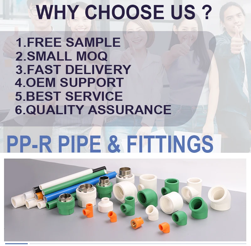 High Quality PPR Pex Al Pex Plastic Tubes for All Types of Water System Quality Pipe Fittings Included