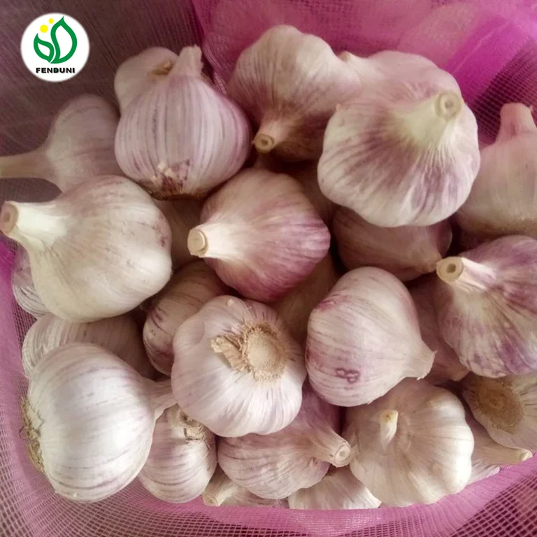 China 2021 New Crop Garlic Supplier for Bangladesh/Pakistan (20kg/bag)