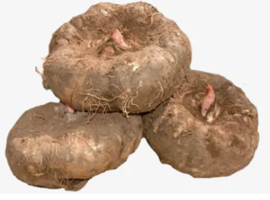 Konjac Extract Glucomannan Powder manufacturer supply Konjac powder