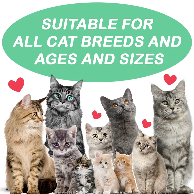 Gas Relief Bad Breath Diarrhea Constipation & Digestive Support Digestive Enzymes Cat Prebiotic Probiotics Supplement