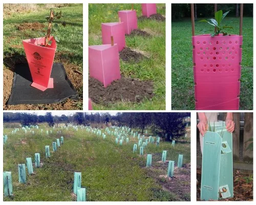 4mm pp corrugated hollow sheet corflute plastic board for Tree guard and Floor protection