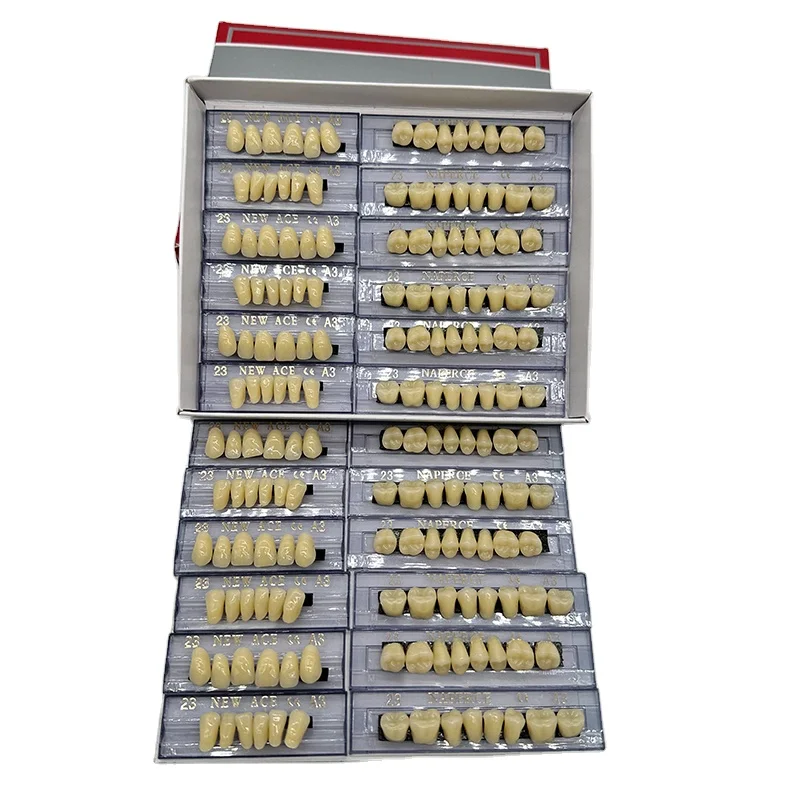Resin Teeth 2 Two Layer Economic Artificial Acrylic False Full Set for Dentures