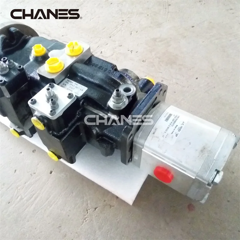 Mini Skid Steer Loader Replacement Parts on Sale Italy Hydraulic Piston Pumps Triplex Pump Construction Machinery Parts