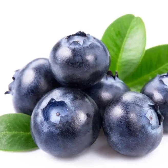 Wholesale premium fresh blueberries