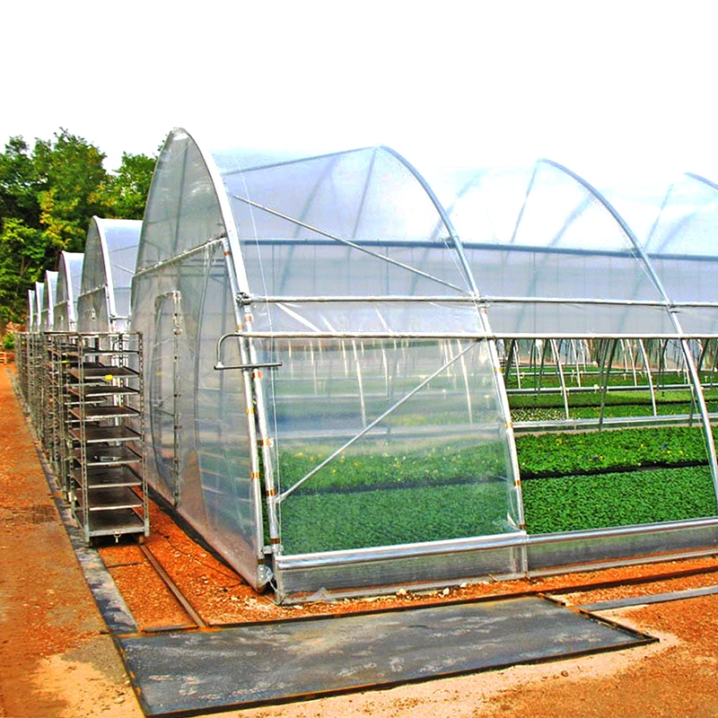Agricultural cheap 8*30m single span 150micron PE film greenhouse for sale