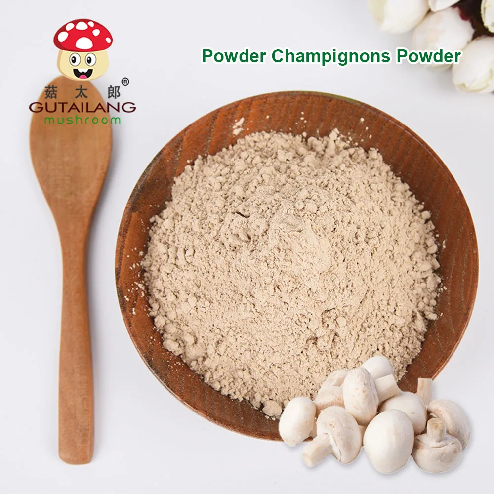 Mushroom Champignon Powder Gutailang Factory Directly Selling Champignon Mushroom Extract Powder