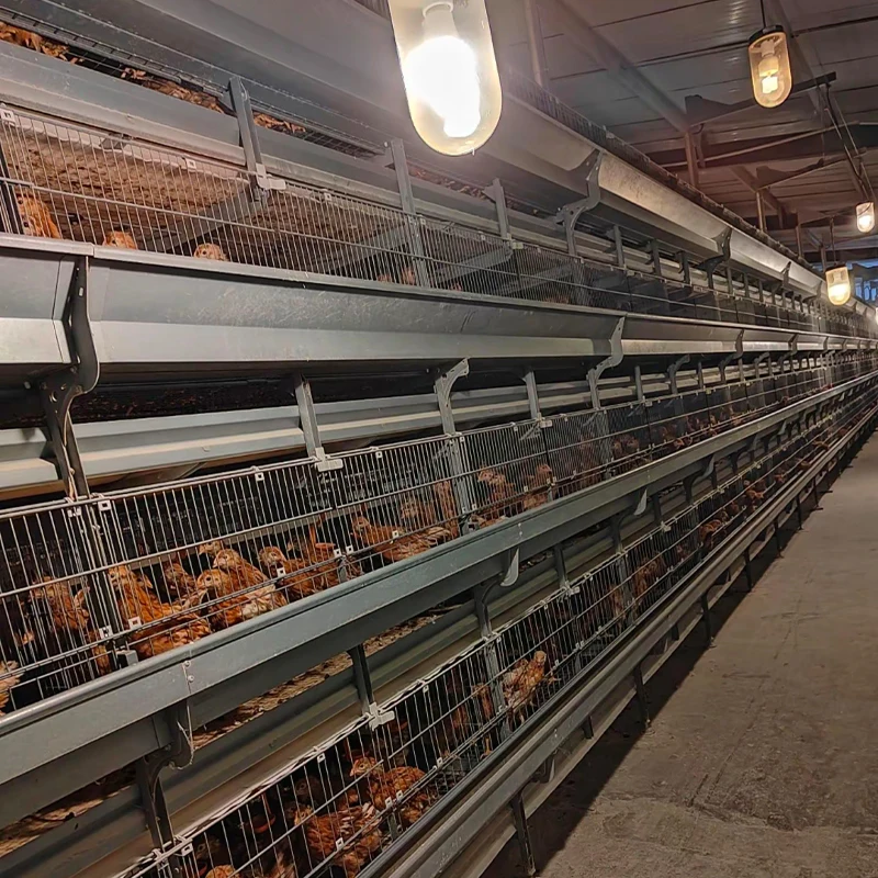 Multifunctional H-Type Steel Chicken Coop Automatic Poultry Farm Layer Battery Chicken Cage Used for Laying Hens and Farming
