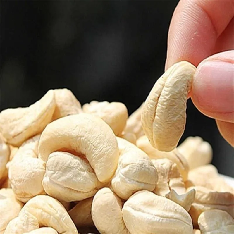 Healthy Nuts Raw Cashew Nuts W240 W320 Without Husk Cashews Raw From Vietnam