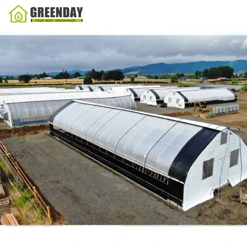 
GREENDAY Cbd Flower Double Pe Greenhouse Complete Light Dep Green House 
