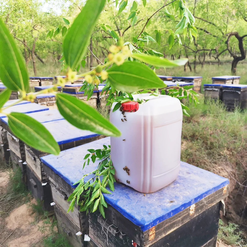 Hot selling Yemen bee honey natural sidr 28 kg gallon