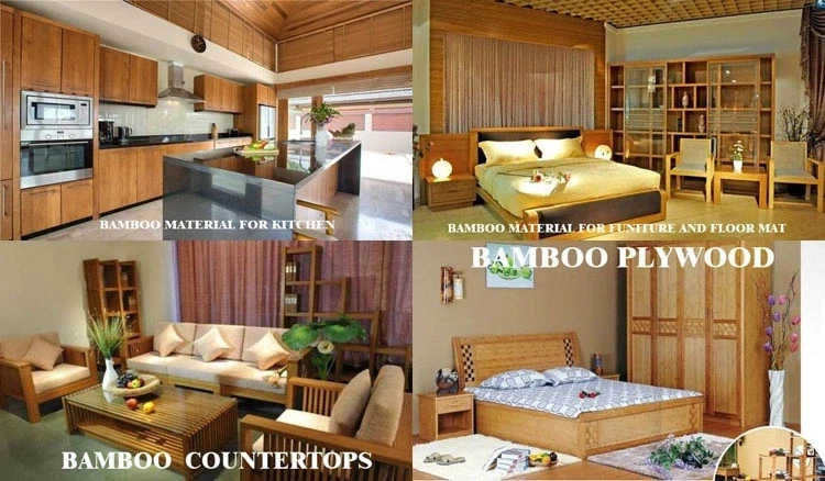 3.webp