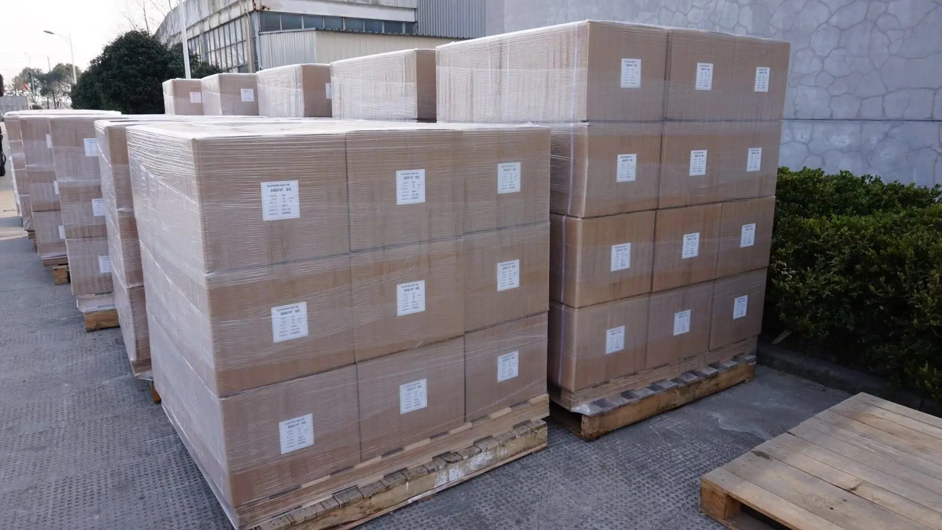 20D 30D Twist Monofilament Yarn Bright Color Polyester Monofilament Yarn For Socks Knitting Monofilament Yarn