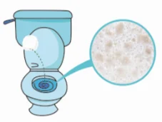 2020 new cat litter 7L dust free clumping cat litter super odor elimination tapioca cat litter