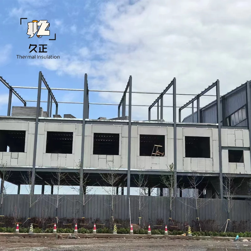 Fast Built Reinforced Concrete Panels Insulated Soundproof Lightweight Concrete Wall Panels For Philippines