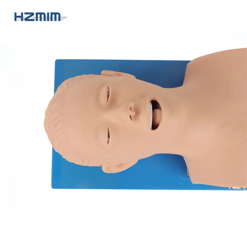 Adult Airway Trachea Intubation Model Adult Airway Intubation Manikin Endotracheal Intubation Training Model