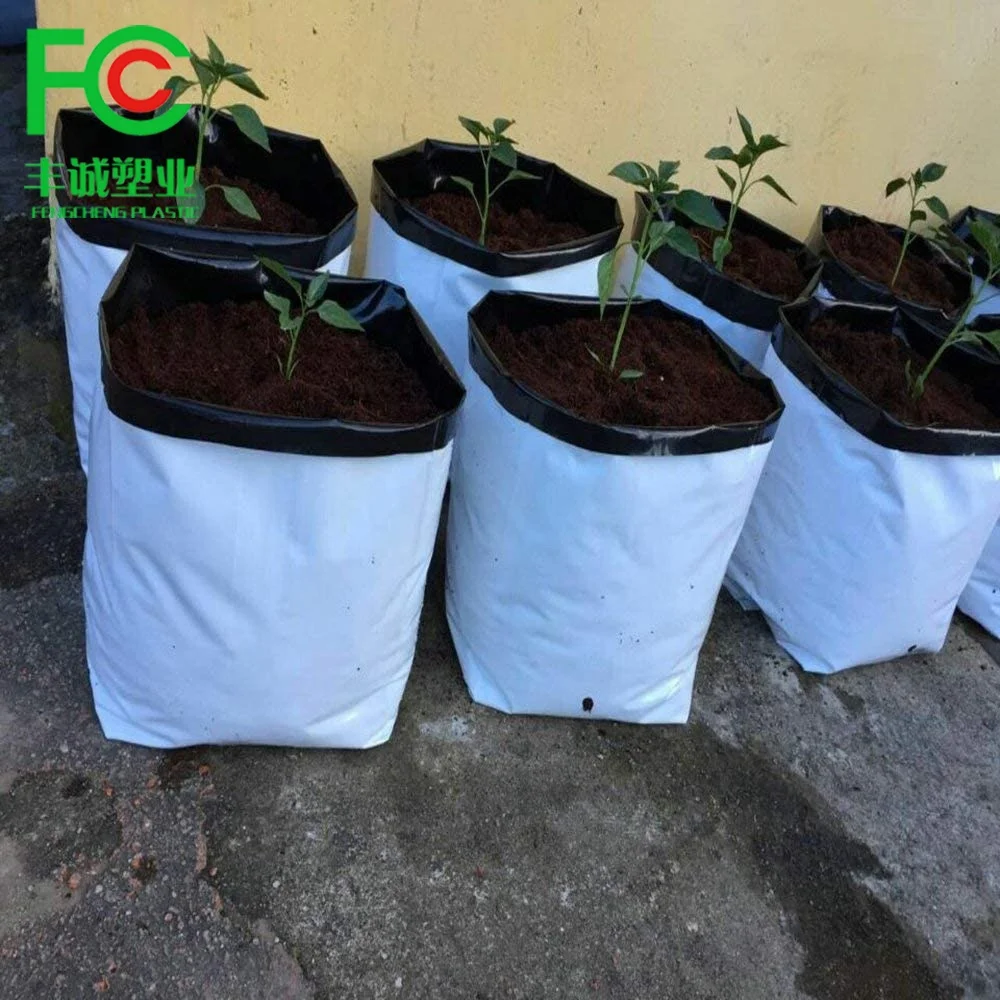 tomato cucumber strawberry grow bag vegetable or fruit plant nursery PE plastic plant bag