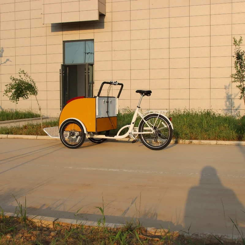 Cheap price 2 or 3 passenger electric auto rickshaw taxi tuk tuk for sale