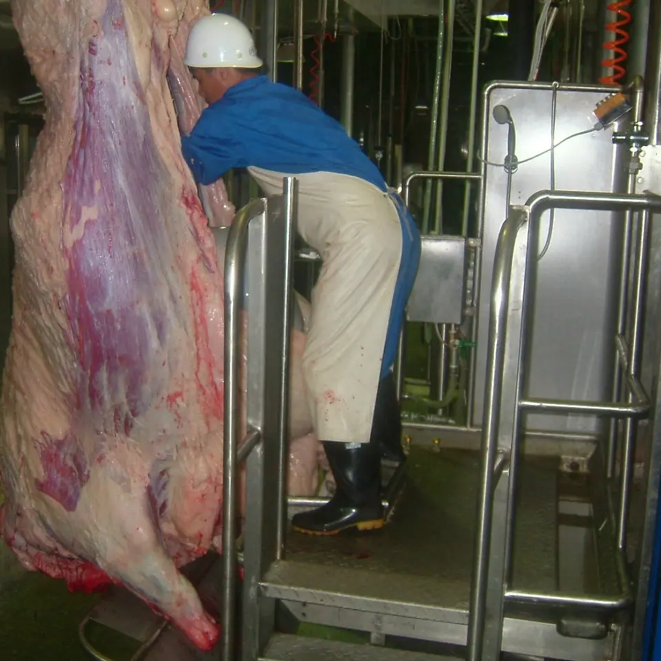 Kosher Cattle Slaughter Line  Halal Cattle slaughtering equipment