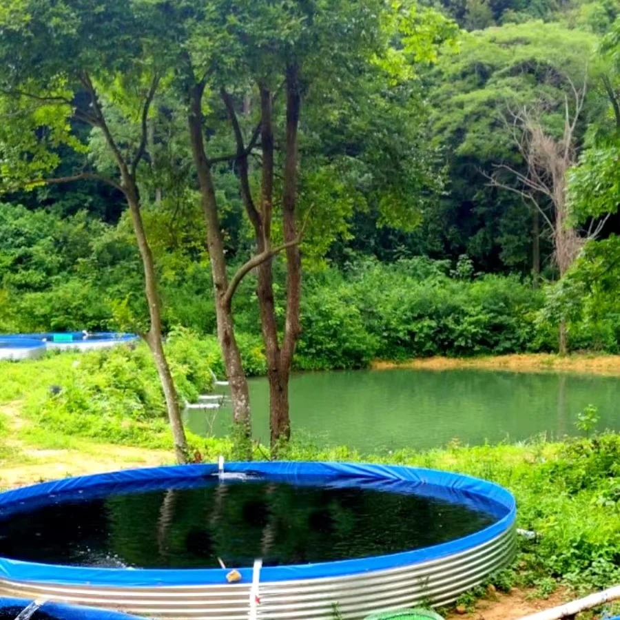 Latest hot sale styles  High Density  Aquaculture Tilapia & Shrimp Ras System Galvanized Steel Aquaculture Ponds