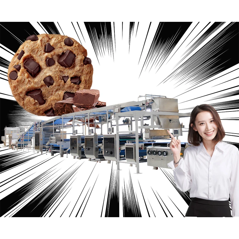 Automatic Biscuit Cookie Making Machine Soft Hard Cookie Baking Machine Biscuits Making Machine