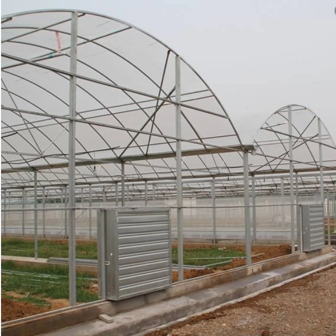 Serre agricole Plastic film greenhouse  system multi-span agricultural greenhouses for sale