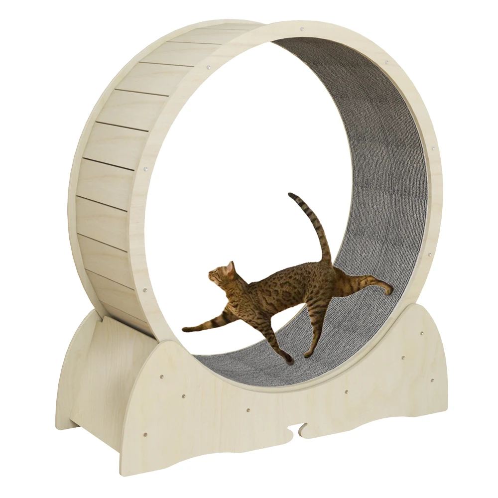 Cat Toys Circle Track for Household Interactive Pet Tread Exercise Running Wheel Cat Climbing Frame Fiberboard Cat Treadmill