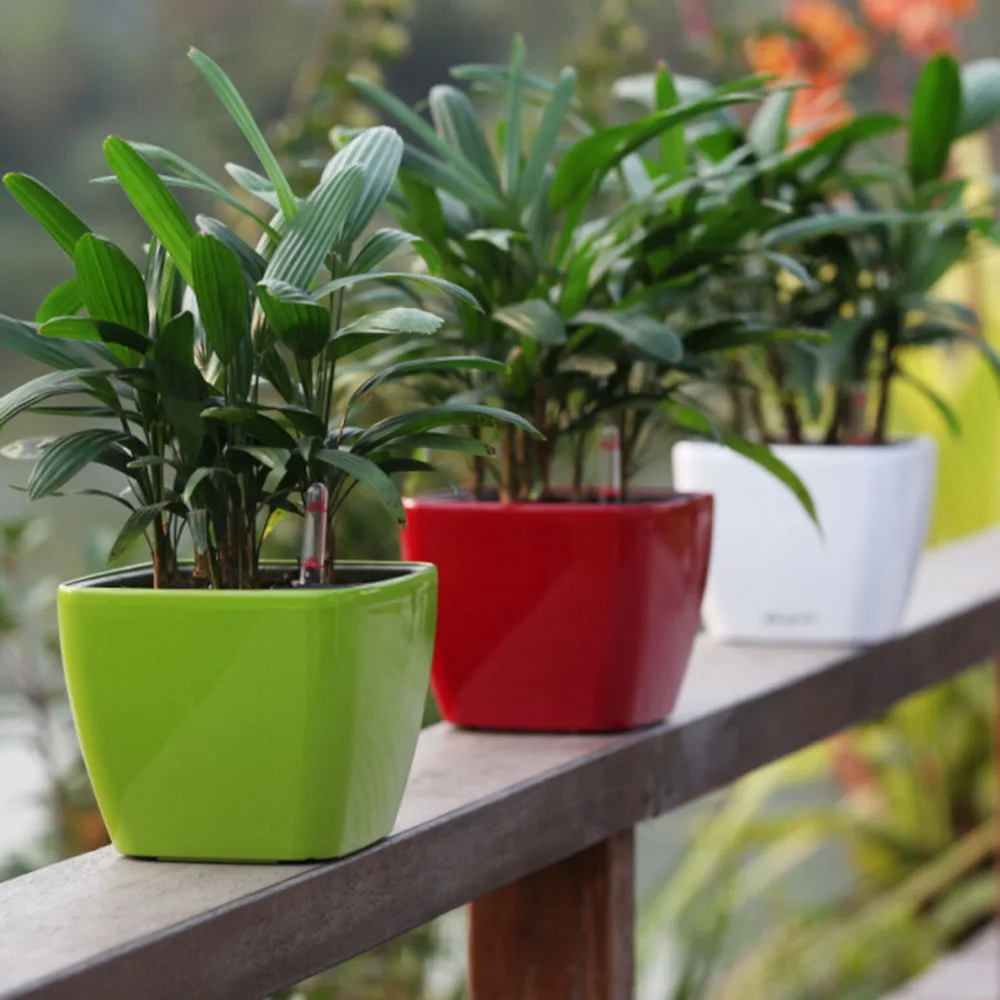 Western-Style Small Decorative Plastic Flowerpot Mini Lazy Herb and Succulent Plant Pot for Home Garden or Outdoor Living Room