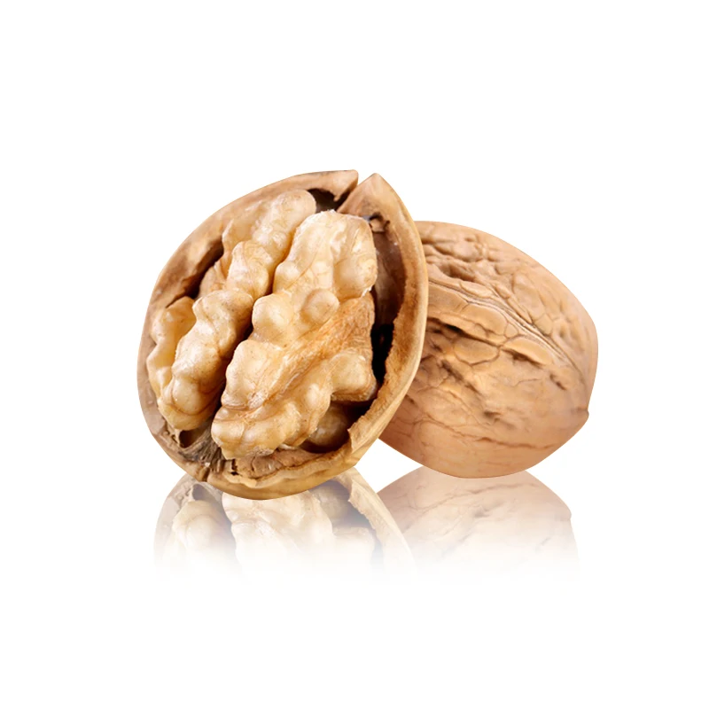 Low MOQ Best Price 185 Walnut Nuts wholesale Top Class Walnut In shell Dried Style Raw Walnut 32mm