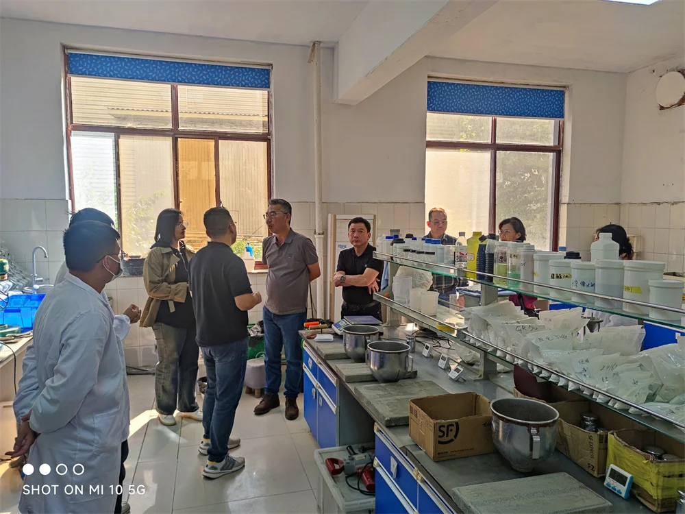 Pure Cellulose Ether (HPMC) Concrete Admixtures & Mortar Admixtures C1 C2 Type Tile Adhesives for Cement/Gypsum Based Plasters