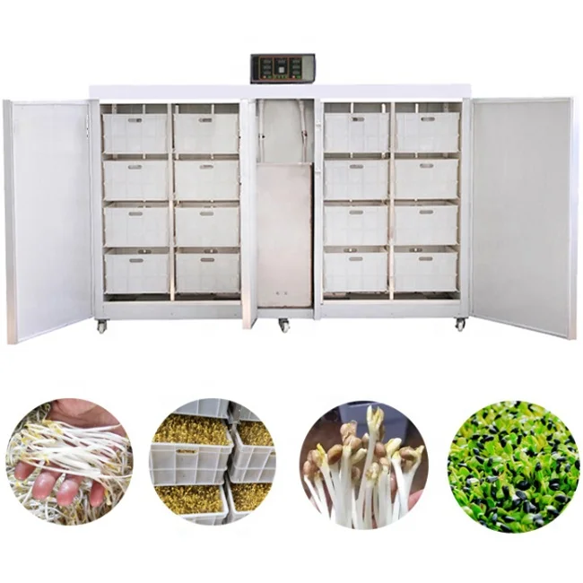 High quality best selling mung bean sprout machinery