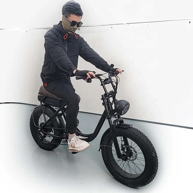 500w 800w 1000w 48v 12Ah charging electric Mountain Bike Shimano TZ 7-spd Retro fat tire frame high range electric e bicycle