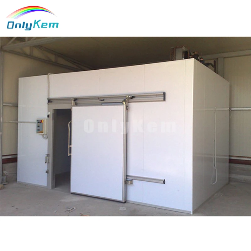 Industrial Walk-in Freezer Small Cold Room Storage 100mm 150mm Panel Thickness  Walk Freezer for Farm Retail & Construction