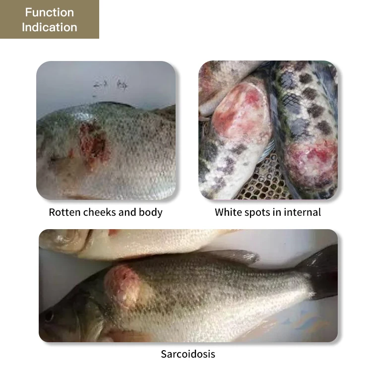 african farming catfish for white spot on fish