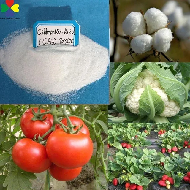 Sales ga3 gibberellin gibberellic acid plant growth gibberellic acid ga3 90%TC