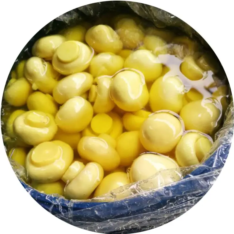 
Whole Boletus Edulis Mushroom in Brine 