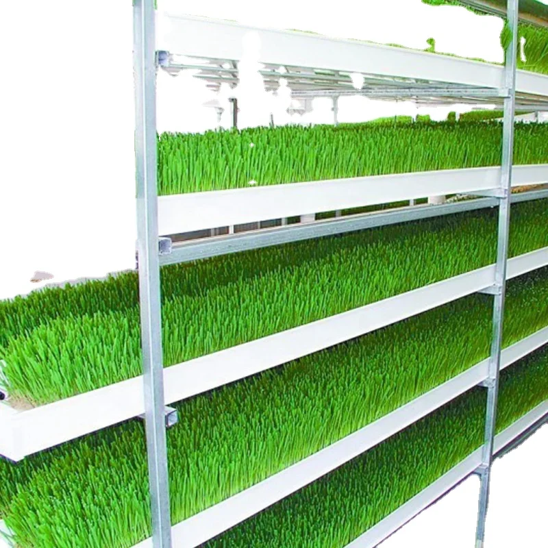 Hydroponics farm fodder hydroponic fodder trays system