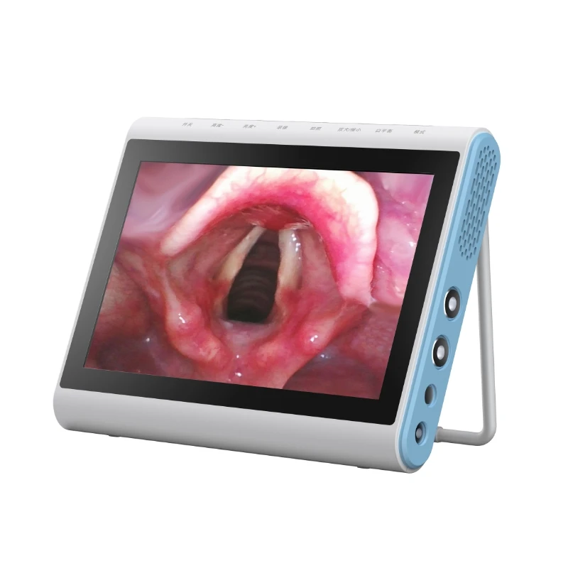 Bronchoscope BESDATA Broncho Scope Flexible Bronchoscope Factory Price